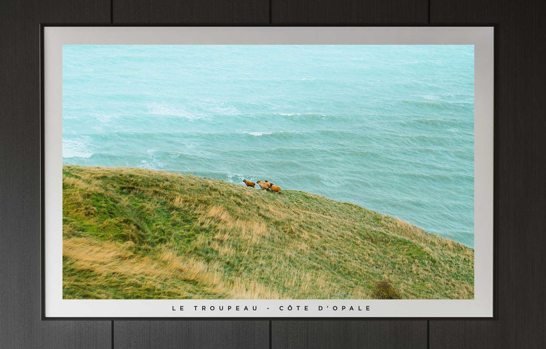 Le troupeau - Côte d'Opale