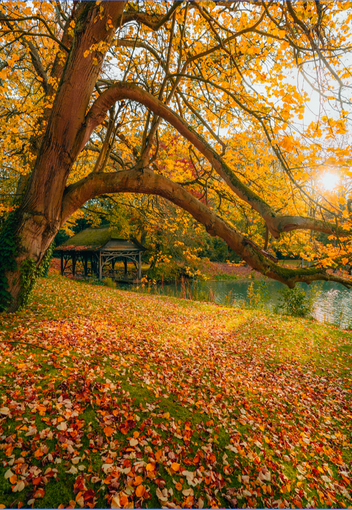 Automne